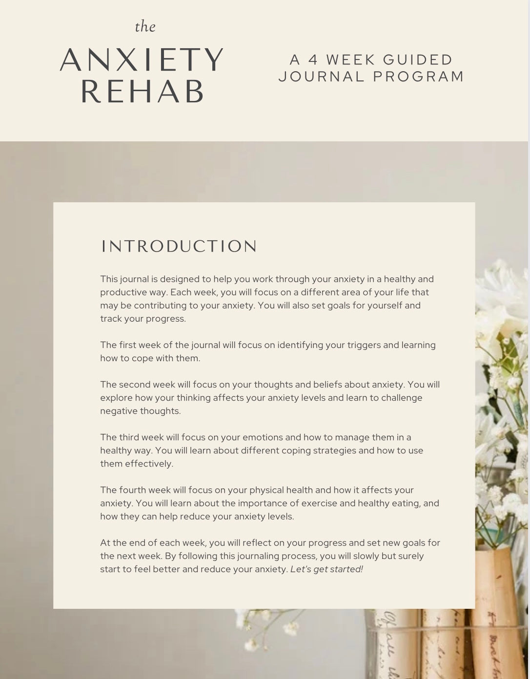 The Anxiety Rehab Journal